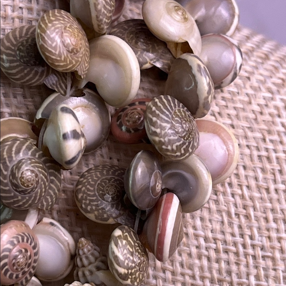 Chic Natural Shell Necklace - Picture 6 of 7